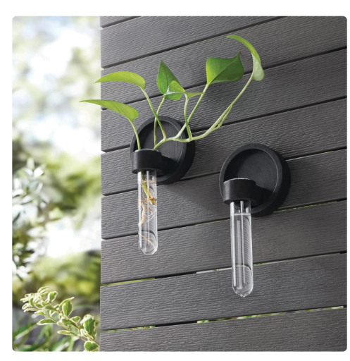 Mainstays Wood Plant Hanging Propagation Station Set (2-Pack)