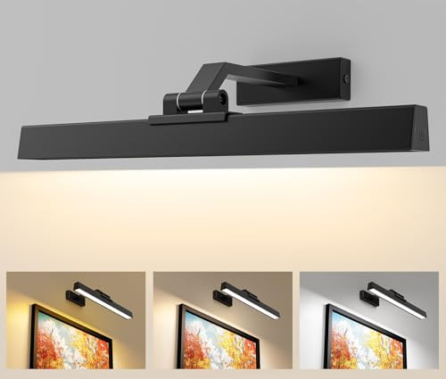 Wireless Picture Wall Light