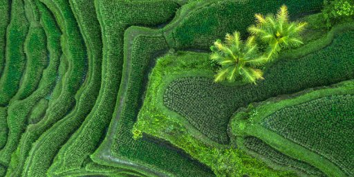Luxury 18-Night Cruise from Bali to Hong Kong