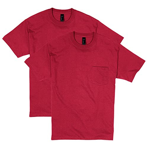 Hanes Men's Heavyweight Pocket T-Shirt 2 Pack