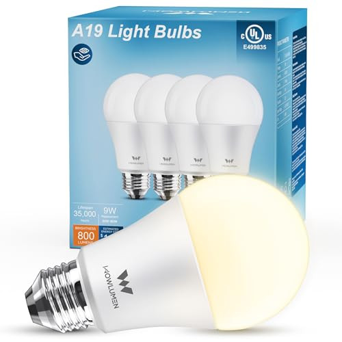 A-19 LED Lightbulbs 4-Pack