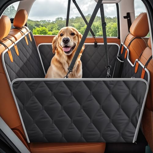 Hard Bottom Dog Back Seat