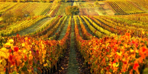 7-Night France River Cruise
