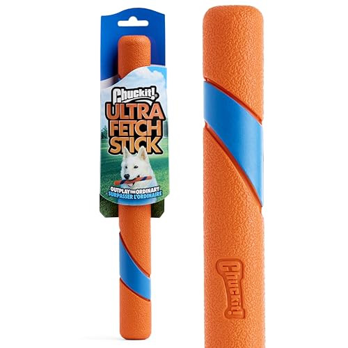 Chuckit! Ultra Fetch Stick Outdoor Dog Toy