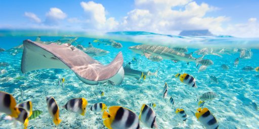5 Nights in Tahiti's Black Sand Beaches Vacation Package w/ Airfare