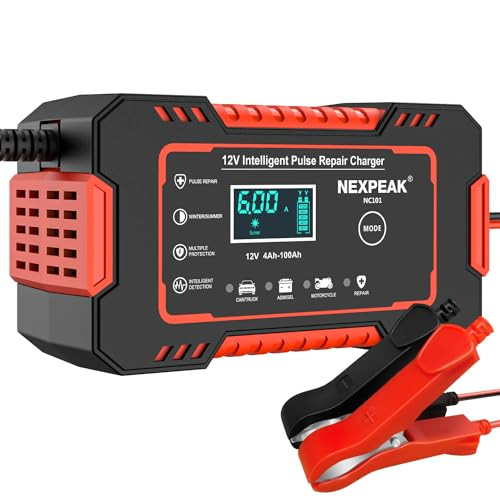 NEXPEAK 12V 6A Intelligent Pulse Battery Trickle Charger