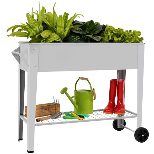 LEETOLLA Elevated Garden Bed
