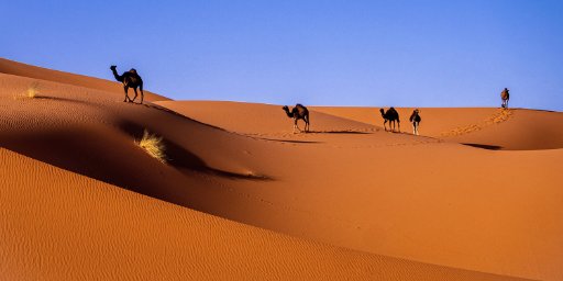 Morocco Two-Week Adventure Including Sahara Desert