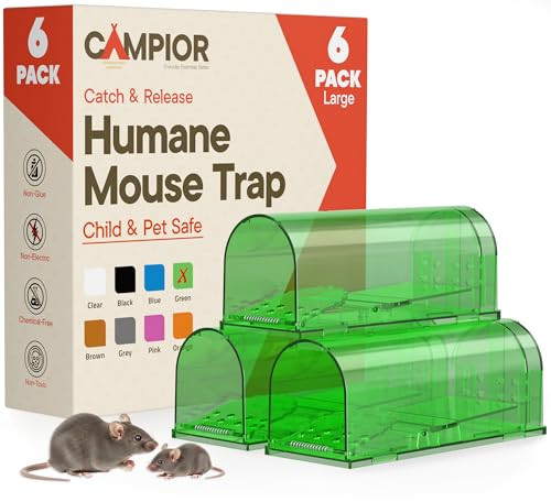 Campior Humane Mouse Trap 6-Count