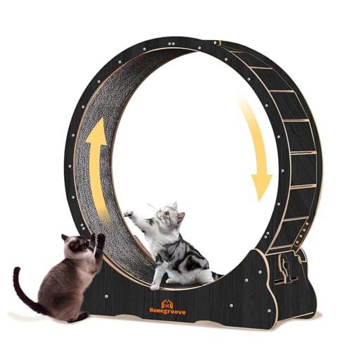 Homegroove Cat Exercise Wheel