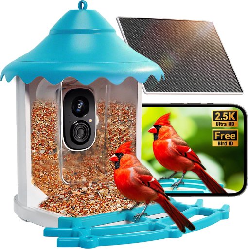 Bird Feeder Camera with AI Bird Identification