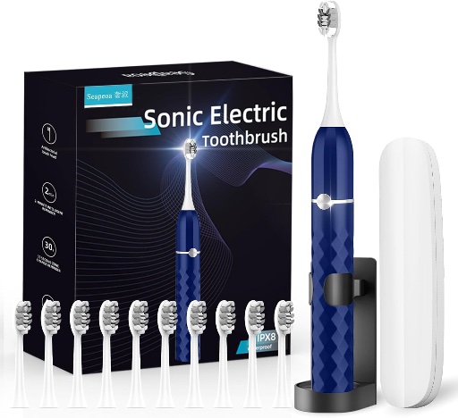 Sonic Electric Toothbrush Set with 10 Replacement Heads and Travel Case