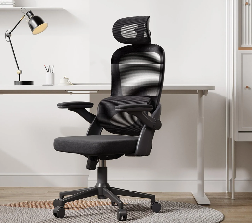 Sihoo M102 Ergonomic Office Chair