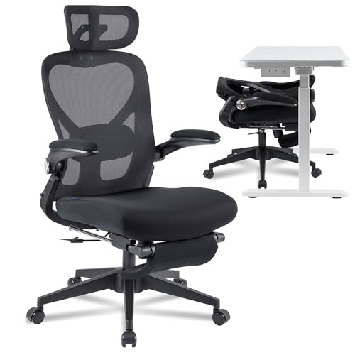 FlexiSpot Foldex Office Chair