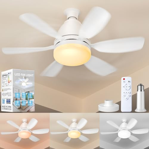Ealken Socket Ceiling Fan Light W/Remote