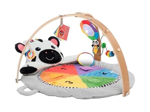 Baby Einstein Activity Gym