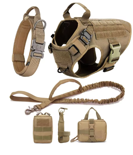 Large Dog Collar Harness and Leash Set