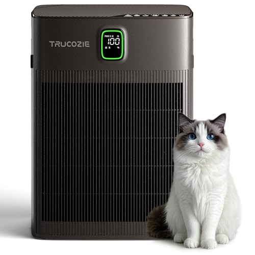 Air Purifier for Up to 2000 Ft