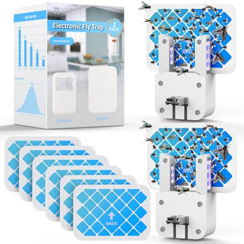 Indoor Fruit Fly Trap Kit