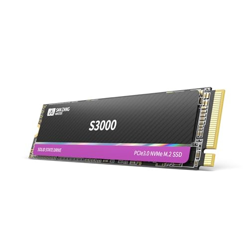 SAN ZANG MASTER M.2 NVMe SSD