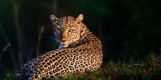 Africa: 13-Night Adventure w/ Victoria Falls