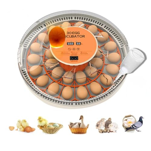 30 Egg Incubator with Automatic Egg Turning and Humidity Control/Display