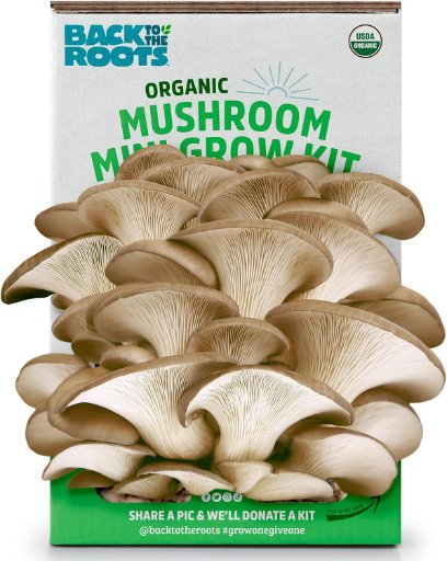Back to the Roots Organic Mini Oyster Mushrooms Grow Kit