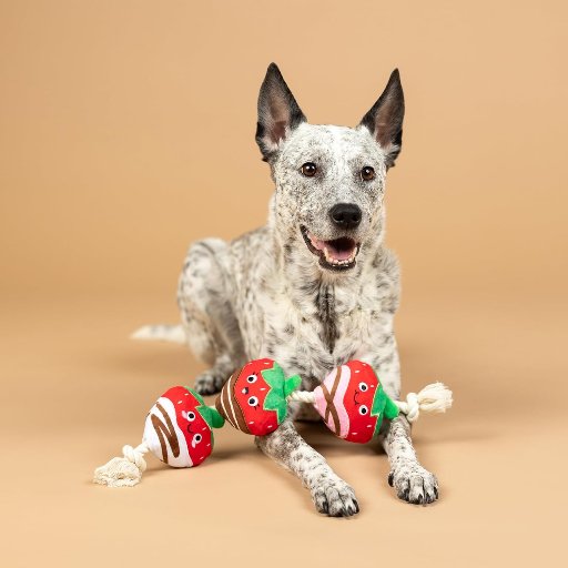 Fringe Studio Plush Dog Toy with Rope