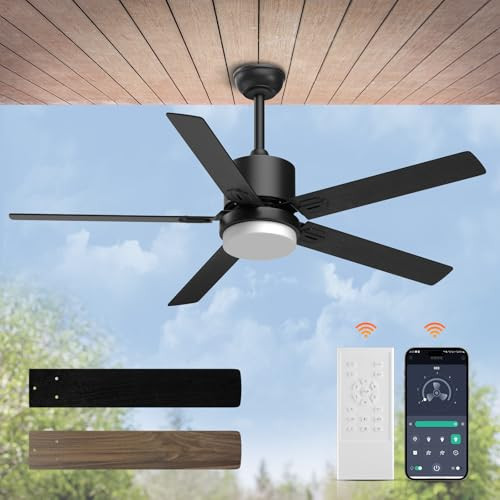 Sky Sea Low Profile Ceiling Fan with Light and Remote/APP Control
