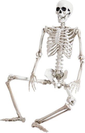 36-inch Skeleton Decoration