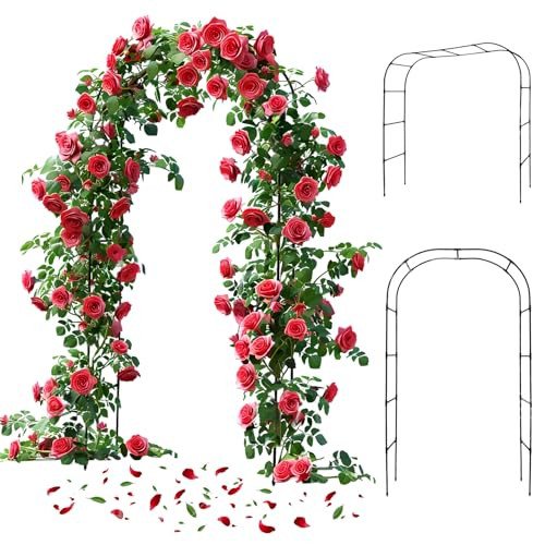 Siuing Metal Garden Arch
