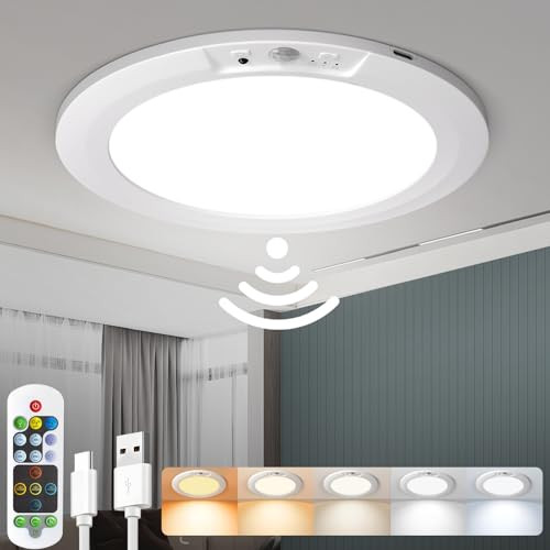 Rechargeable Motion Sensor Ceiling Light W/Remote