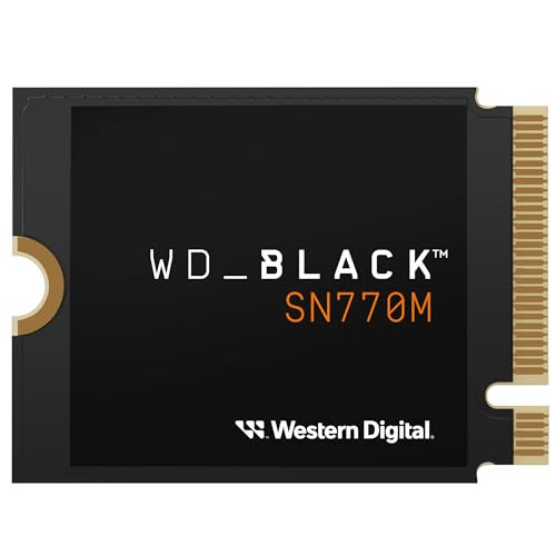 WD_BLACK 1TB SN770M M.2 2230 NVMe SSD for Handheld Gaming Devices - WDBDNH0010BBK-WRSN