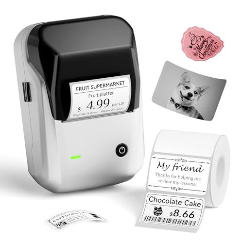 NIIMBOT 2 inch Label Maker B1