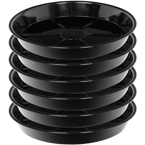 Nimyau Plant Saucers 6-Pack