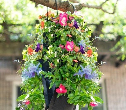 Touch Of ECO 3 Pocket Hanging Flower Garden Seed Kit