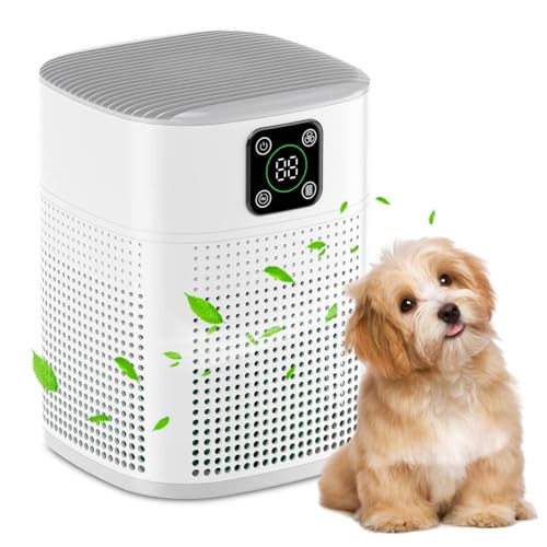 HEPA Air Purifier for up to 600 sqft