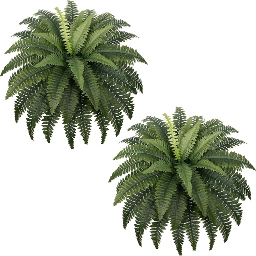 Faux Boston Ferns Set