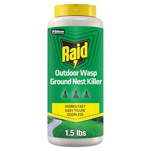 Raid Ant & Roach Killer 27, 17.5 oz. Aerosol Spray
