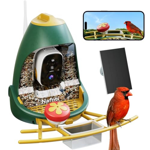Wireless Outdoor Bird Feeder Camera