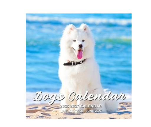 2025-2026 18-Month Wall Calendar