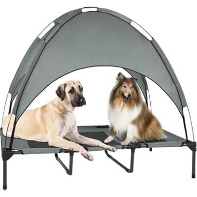 Elevated Dog Bed with Removable Canopy