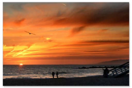 CVS Photo 24" x 36" Custom Repositional Photo Poster