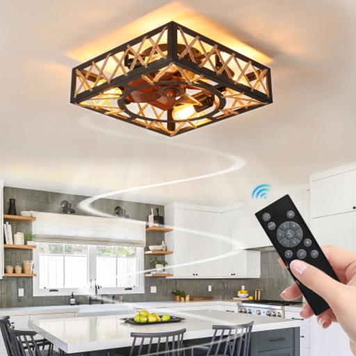Hqlmzd 20" Caged Ceiling Fan with Lights