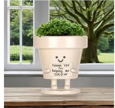 Smiley Face Planter Pots