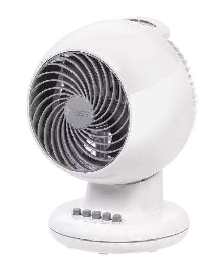 WOOZOO Oscillating Fan with Timer
