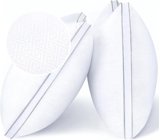 viewstar Pillows Queen Size Set of 2