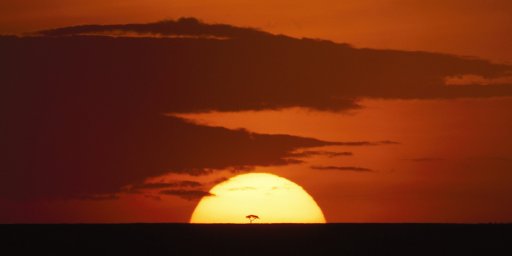 Kenya and Tanzania 10-Night Safari Tour