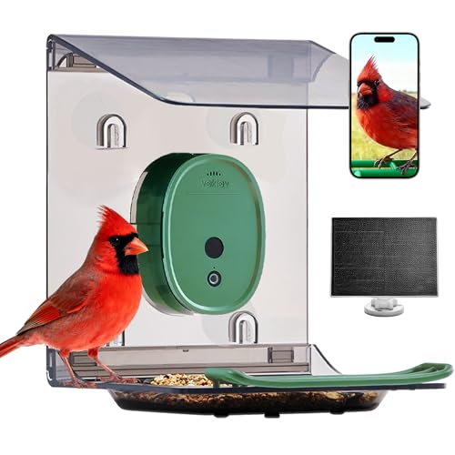 Smart Bird Feeder with Camera Solar Powered Deal
