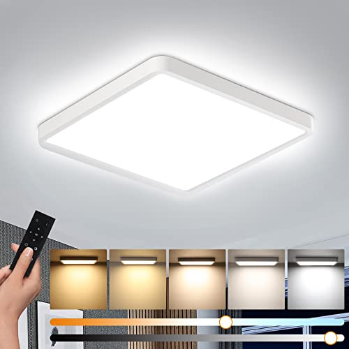 Ceiling Light Fixture with Remote Control